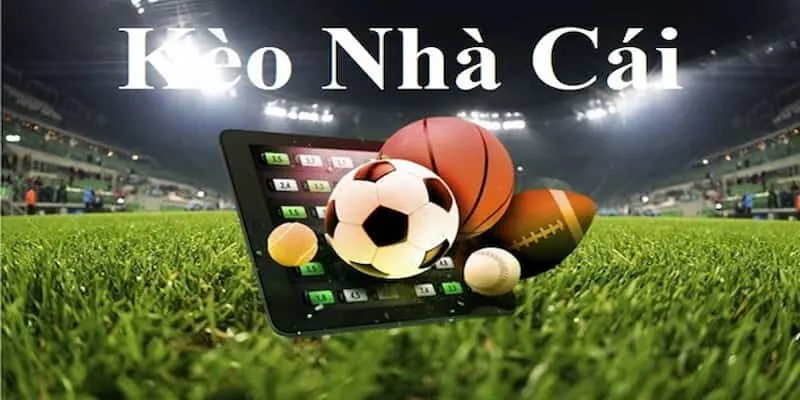 nhatvip